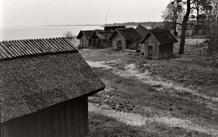 Zivis katlā un uz pannas – tās ir Mājas kafejnīcu dienas (1.daļa)