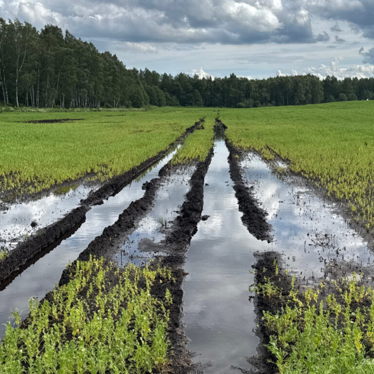 Situācija uz laukiem – kritiska