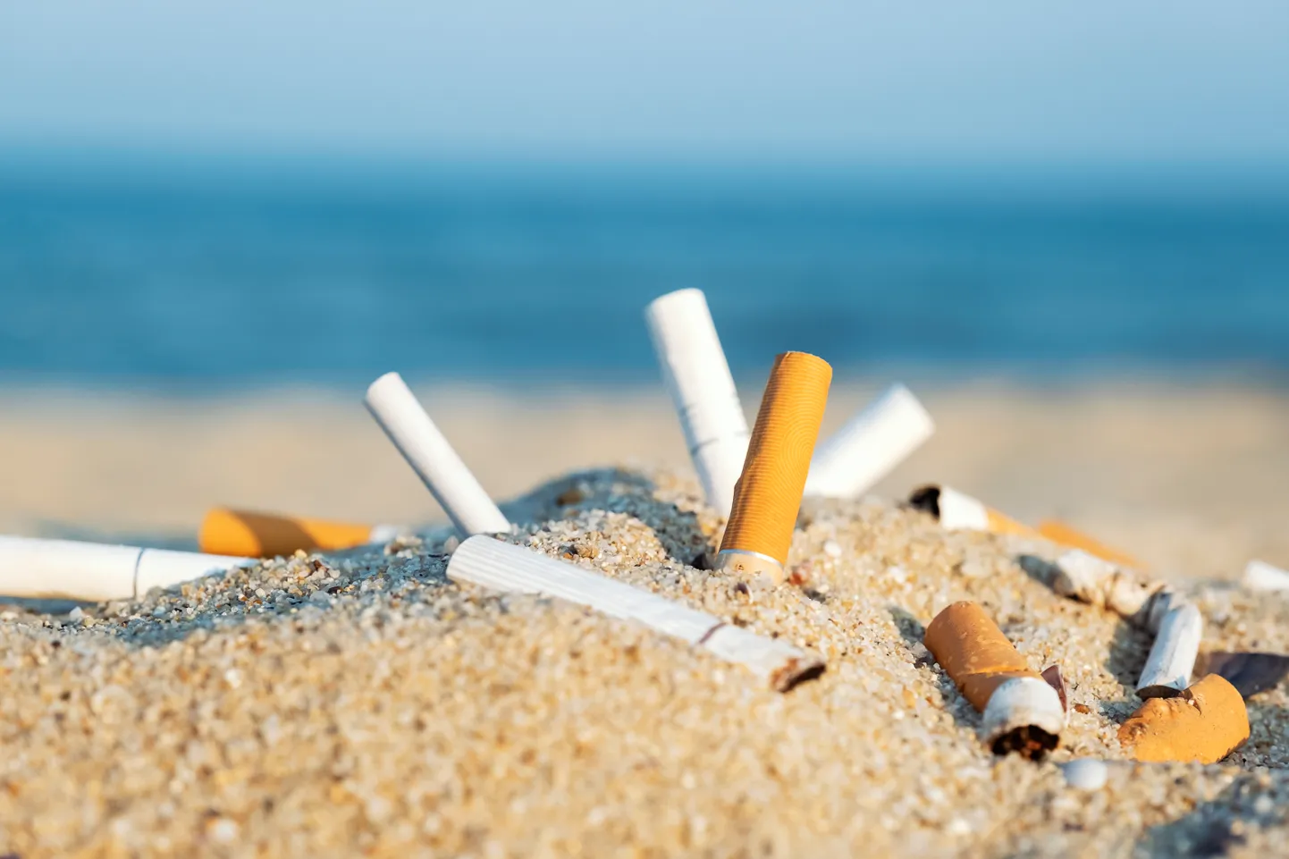 Cigarete būtu jāsadedzina līdz galam